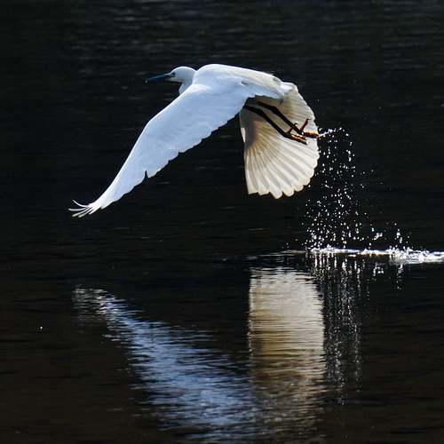 30대 남성을 위한 필수 영양제를 통한 활력 충전하기 30대 남성을 위한 필수 영양제를 통한 활력 충전하기