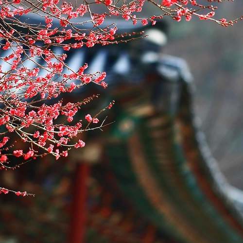 전력설비 관련주, AI 데이터센터 구축으로 투자 기회 폭발!