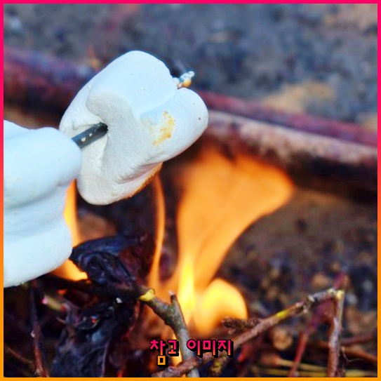 미스터트롯1, 결승진출자와 그들의 최종순위를 알아보아요! 미스터트롯1, 결승진출자와 그들의 최종순위를 알아보아요!