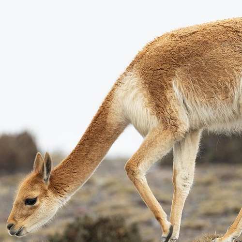 소비쿠폰, 얼마나 받을 수 있을까? 알아두면 유용한 정보 총정리!