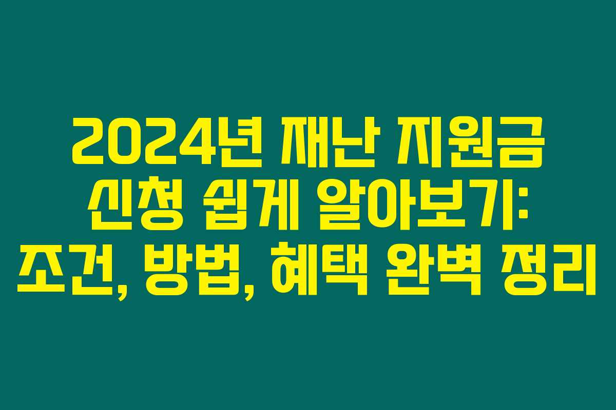 2024년 재난 지원금 신청 쉽게 알아보기: 조건, 방법, 혜택 완벽 정리