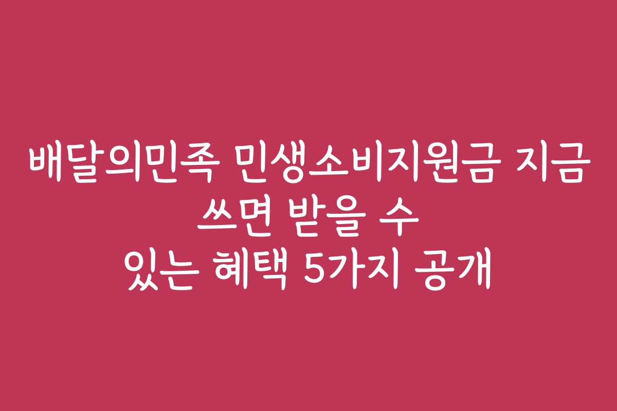 배달의민족 민생소비지원금 지금 쓰면 받을 수 있는 혜택 5가지 공개