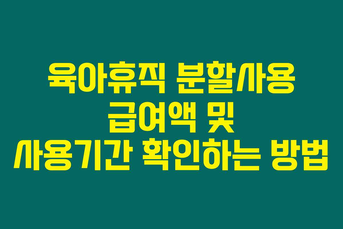 육아휴직 분할사용 급여액 및 사용기간 확인하는 방법 육아휴직 분할사용 급여액 및 사용기간 확인하는 방법