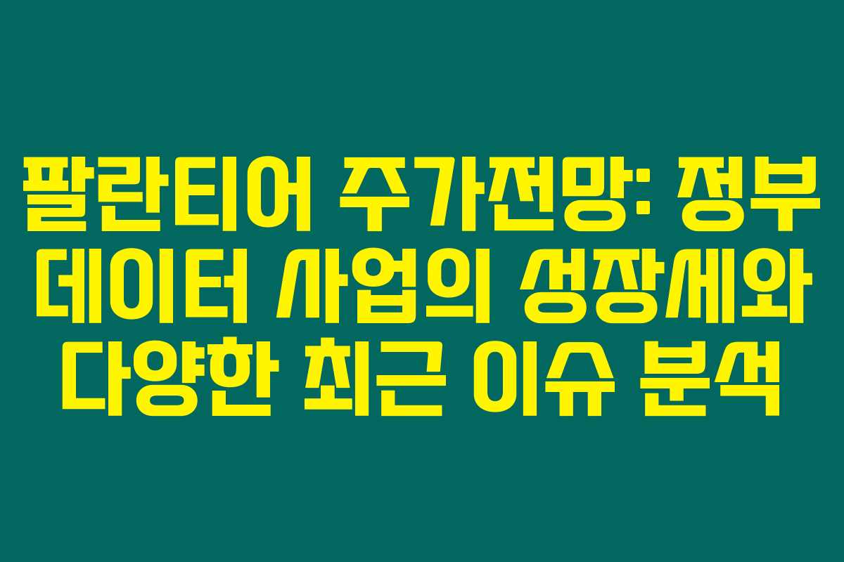 팔란티어 주가전망: 정부 데이터 사업의 성장세와 다양한 최근 이슈 분석
