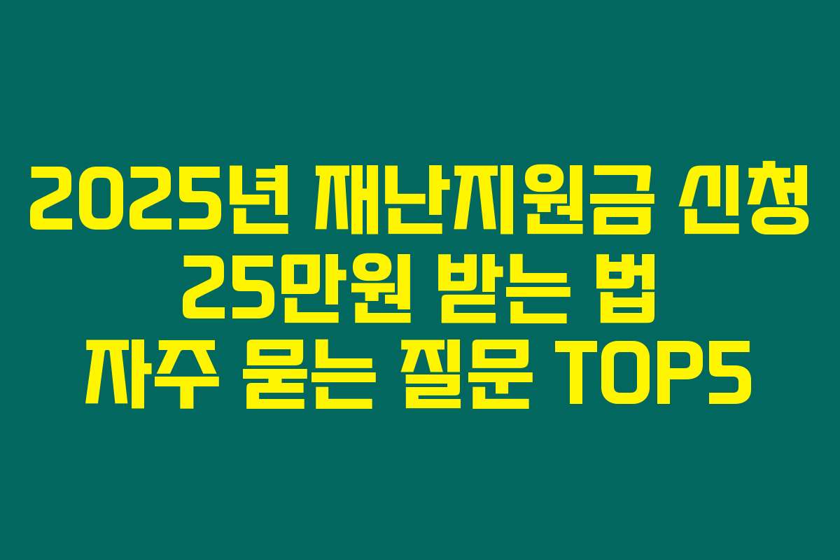 2025년 재난지원금 신청 25만원 받는 법 자주 묻는 질문 TOP5 2025년 재난지원금 신청 25만원 받는 법 자주 묻는 질문 TOP5