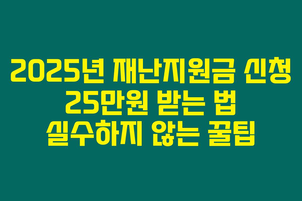 2025년 재난지원금 신청 25만원 받는 법 실수하지 않는 꿀팁