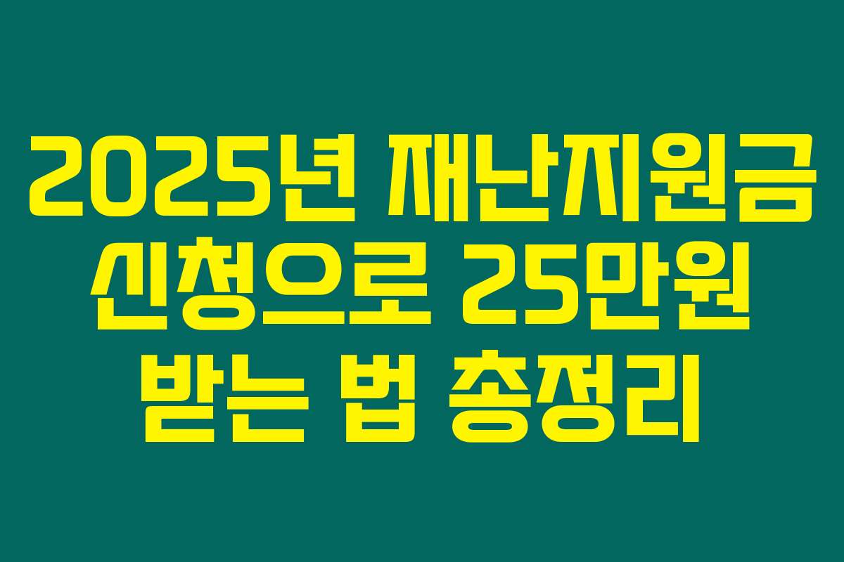 2025년 재난지원금 신청으로 25만원 받는 법 총정리