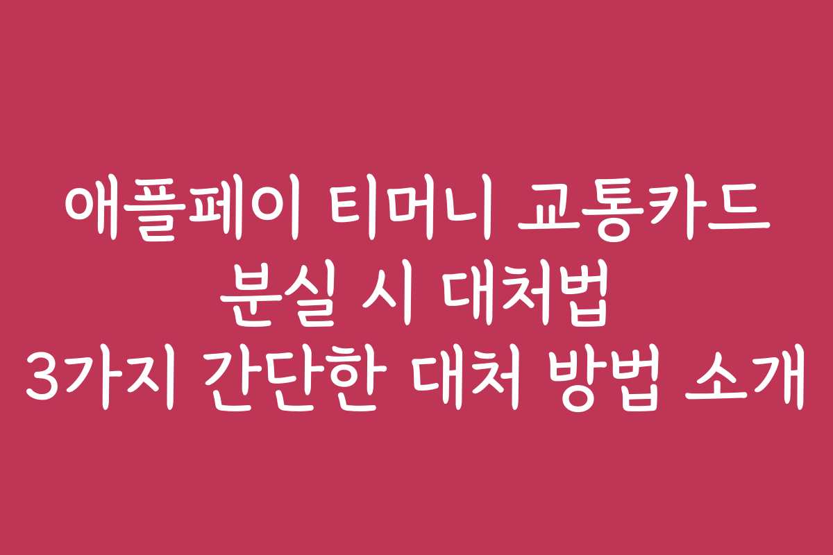 애플페이 티머니 교통카드 분실 시 대처법 3가지 간단한 대처 방법 소개