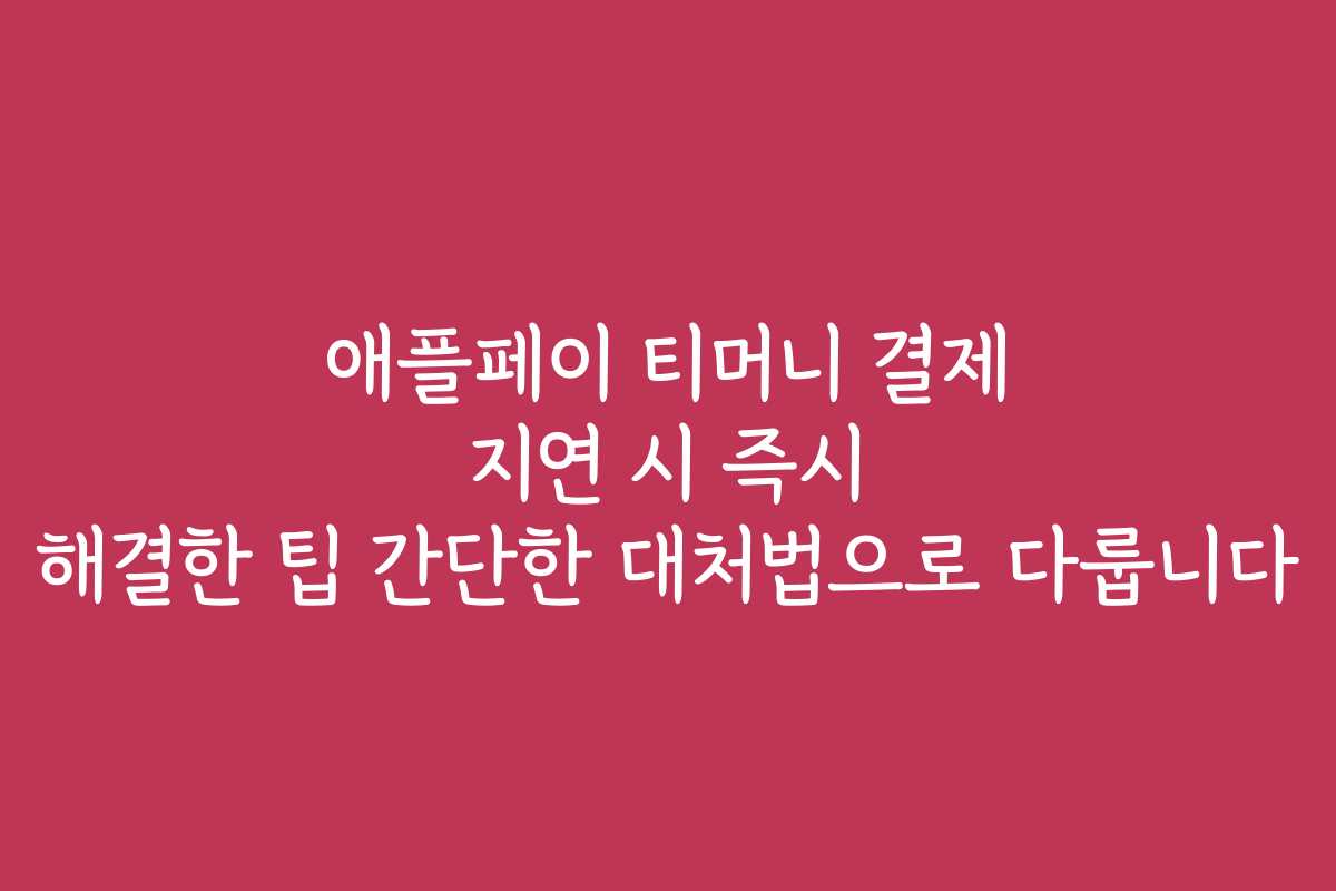 애플페이 티머니 결제 지연 시 즉시 해결한 팁 간단한 대처법으로 다룹니다