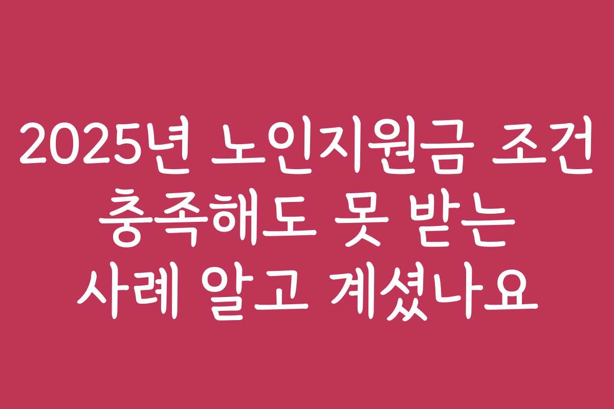 2025년 노인지원금 조건 충족해도 못 받는 사례 알고 계셨나요