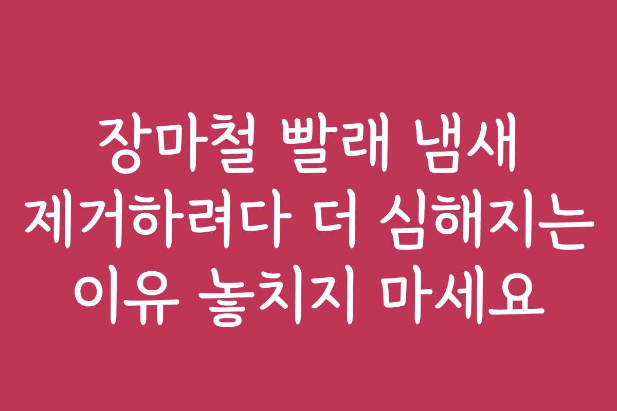 장마철 빨래 냄새 제거하려다 더 심해지는 이유 놓치지 마세요 장마철 빨래 냄새 제거하려다 더 심해지는 이유 놓치지 마세요