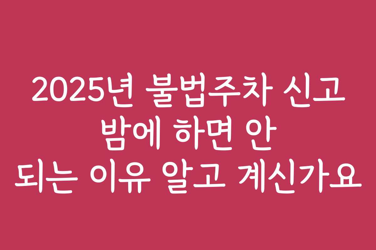 2025년 불법주차 신고 밤에 하면 안 되는 이유 알고 계신가요 2025년 불법주차 신고 밤에 하면 안 되는 이유 알고 계신가요