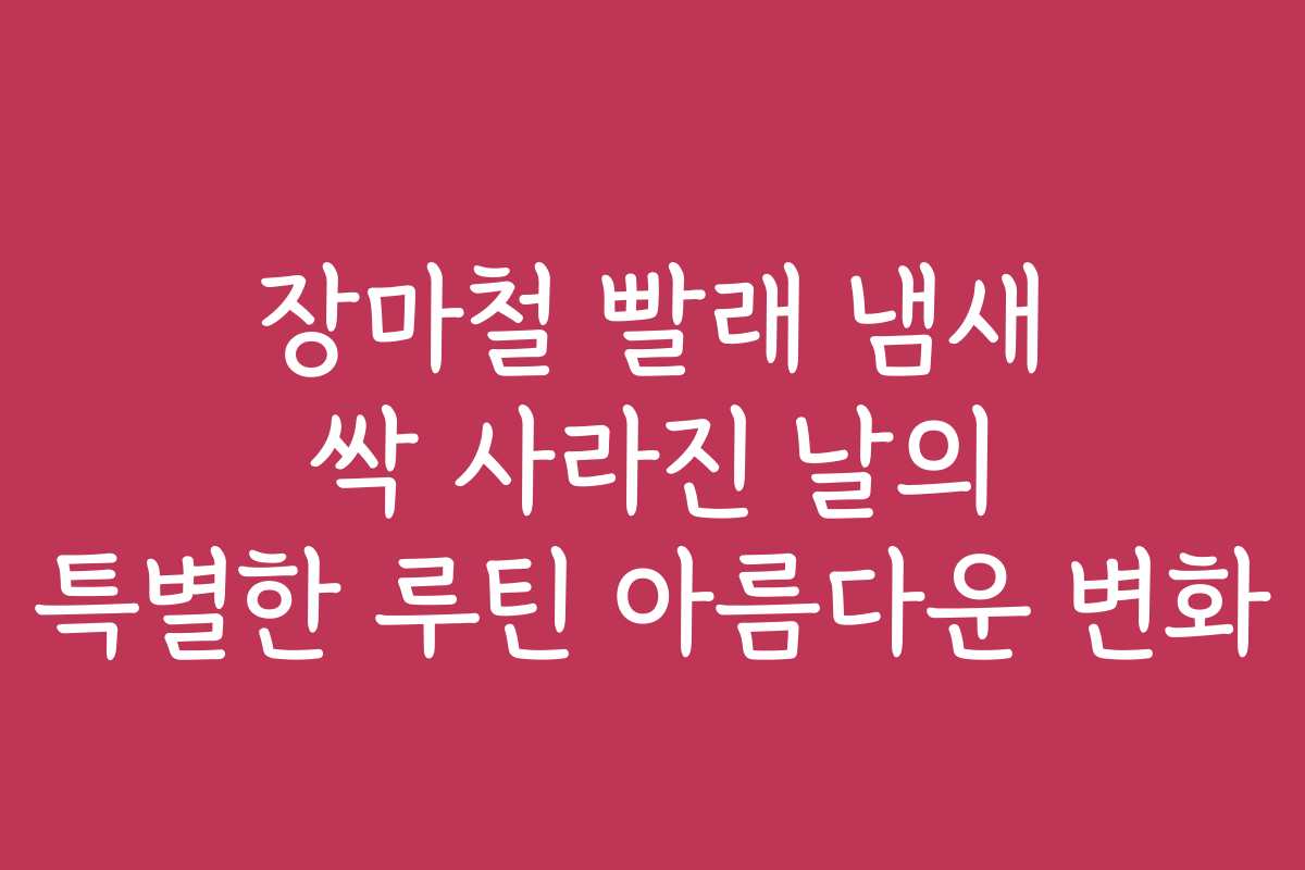 장마철 빨래 냄새 싹 사라진 날의 특별한 루틴 아름다운 변화 장마철 빨래 냄새 싹 사라진 날의 특별한 루틴 아름다운 변화