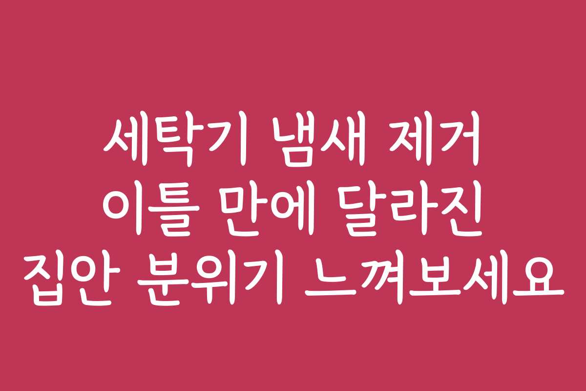 세탁기 냄새 제거 이틀 만에 달라진 집안 분위기 느껴보세요 세탁기 냄새 제거 이틀 만에 달라진 집안 분위기 느껴보세요