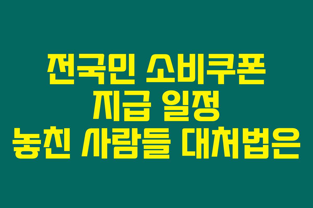 전국민 소비쿠폰 지급 일정 놓친 사람들 대처법은