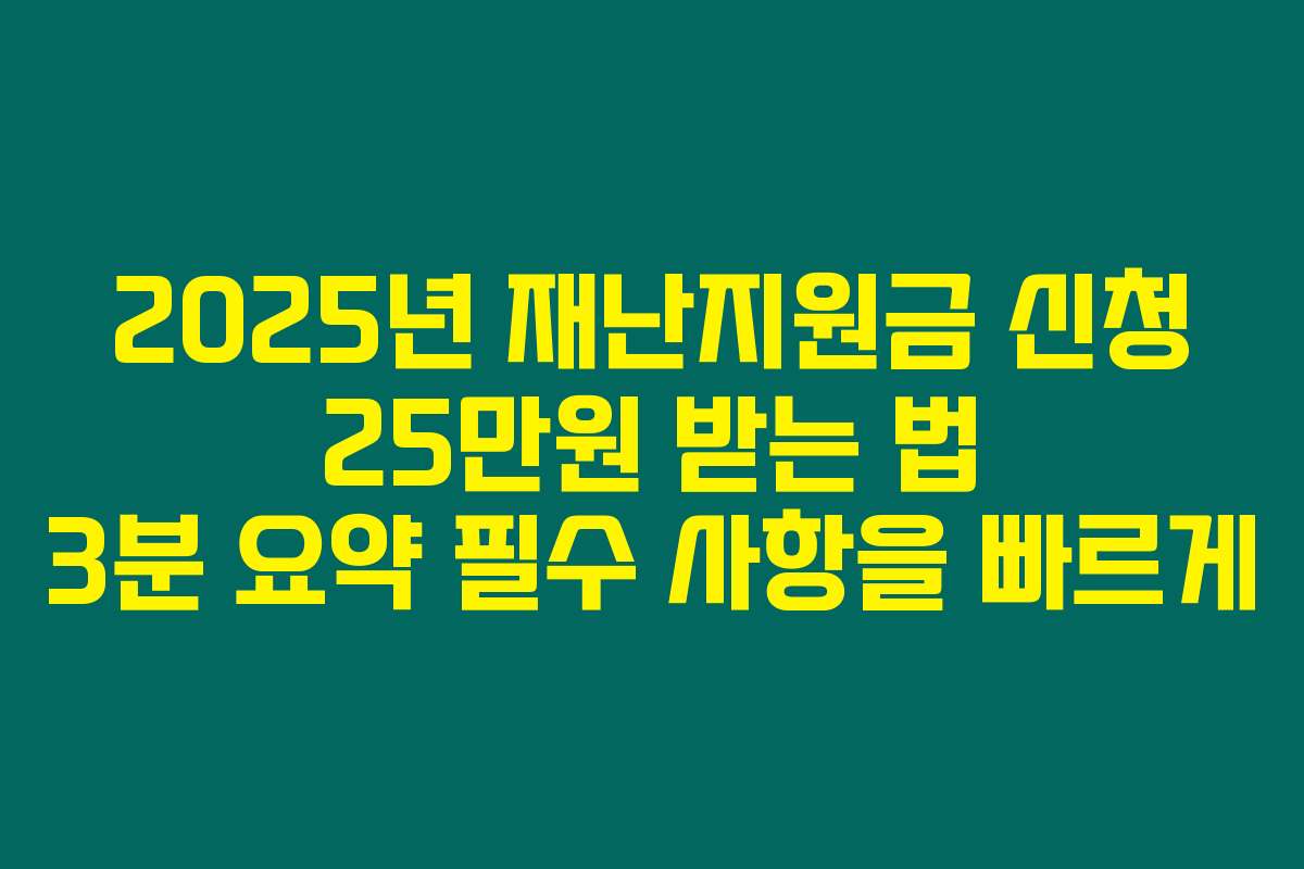 2025년 재난지원금 신청 25만원 받는 법 3분 요약 필수 사항을 빠르게
