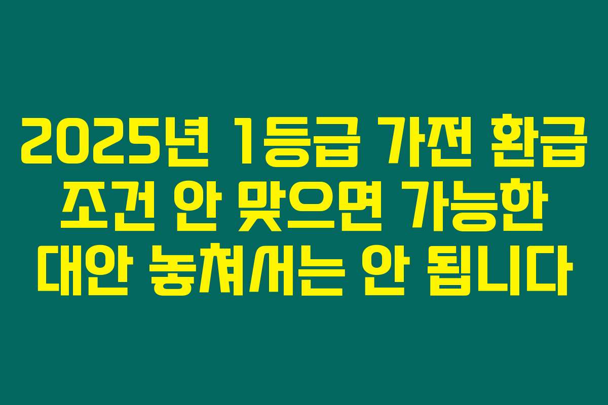 2025년 1등급 가전 환급 조건 안 맞으면 가능한 대안 놓쳐서는 안 됩니다