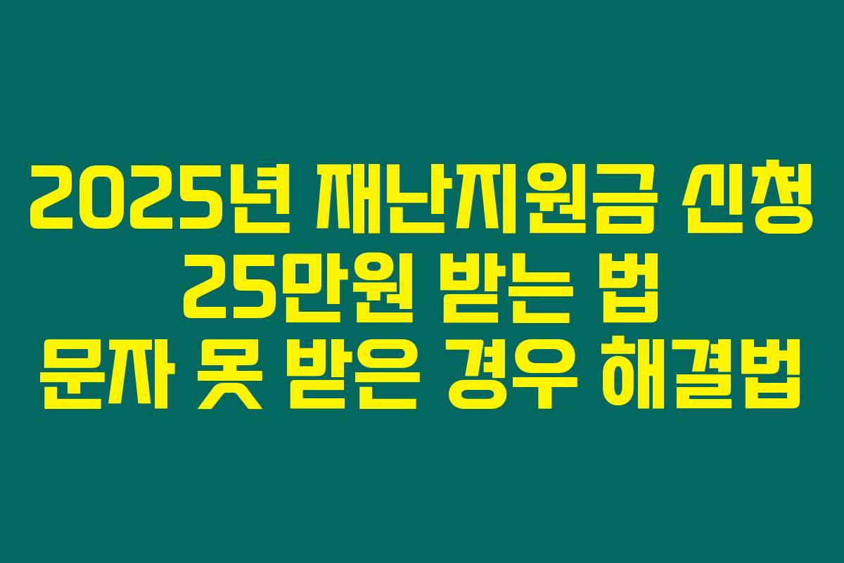 2025년 재난지원금 신청 25만원 받는 법 문자 못 받은 경우 해결법 2025년 재난지원금 신청 25만원 받는 법 문자 못 받은 경우 해결법