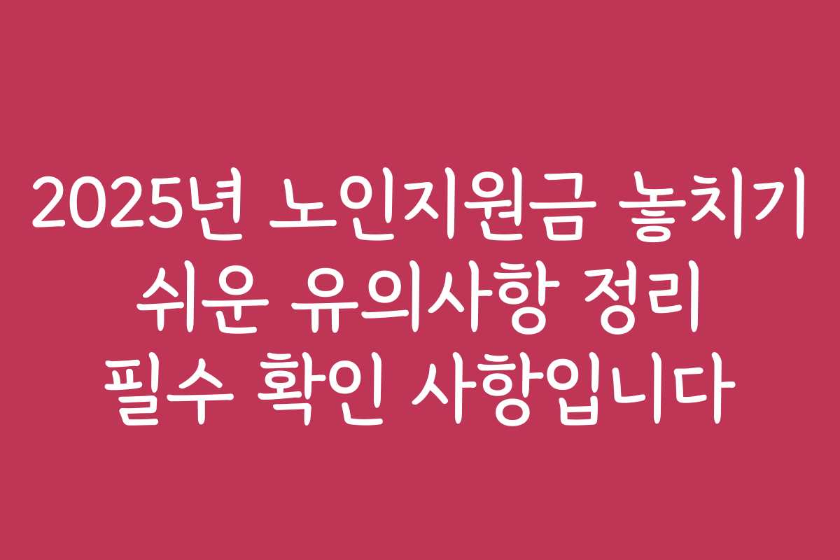 2025년 노인지원금 놓치기 쉬운 유의사항 정리 필수 확인 사항입니다