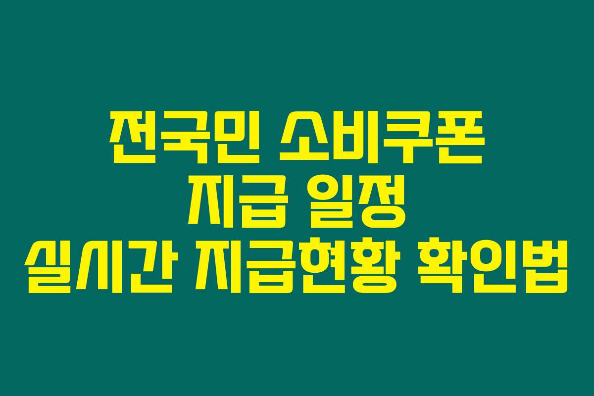 전국민 소비쿠폰 지급 일정 실시간 지급현황 확인법