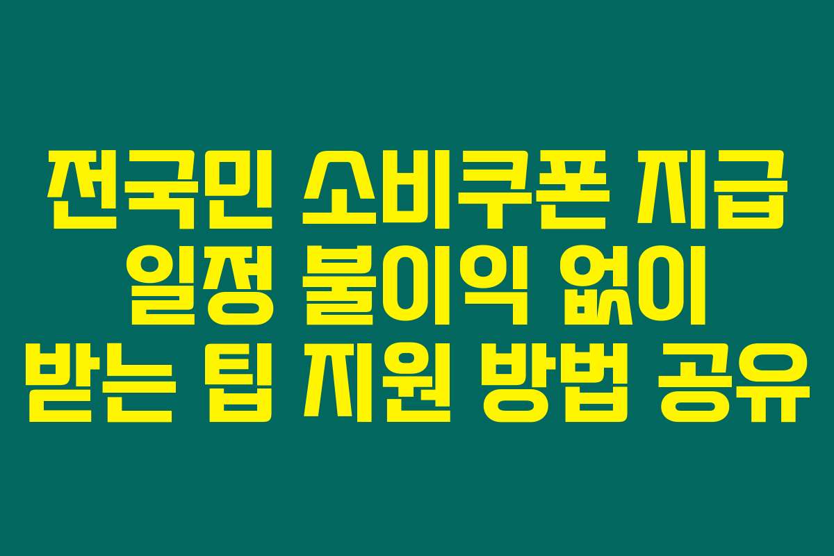 전국민 소비쿠폰 지급 일정 불이익 없이 받는 팁 지원 방법 공유