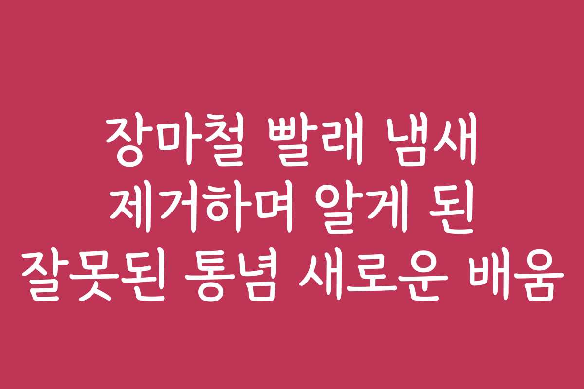 장마철 빨래 냄새 제거하며 알게 된 잘못된 통념 새로운 배움 장마철 빨래 냄새 제거하며 알게 된 잘못된 통념 새로운 배움