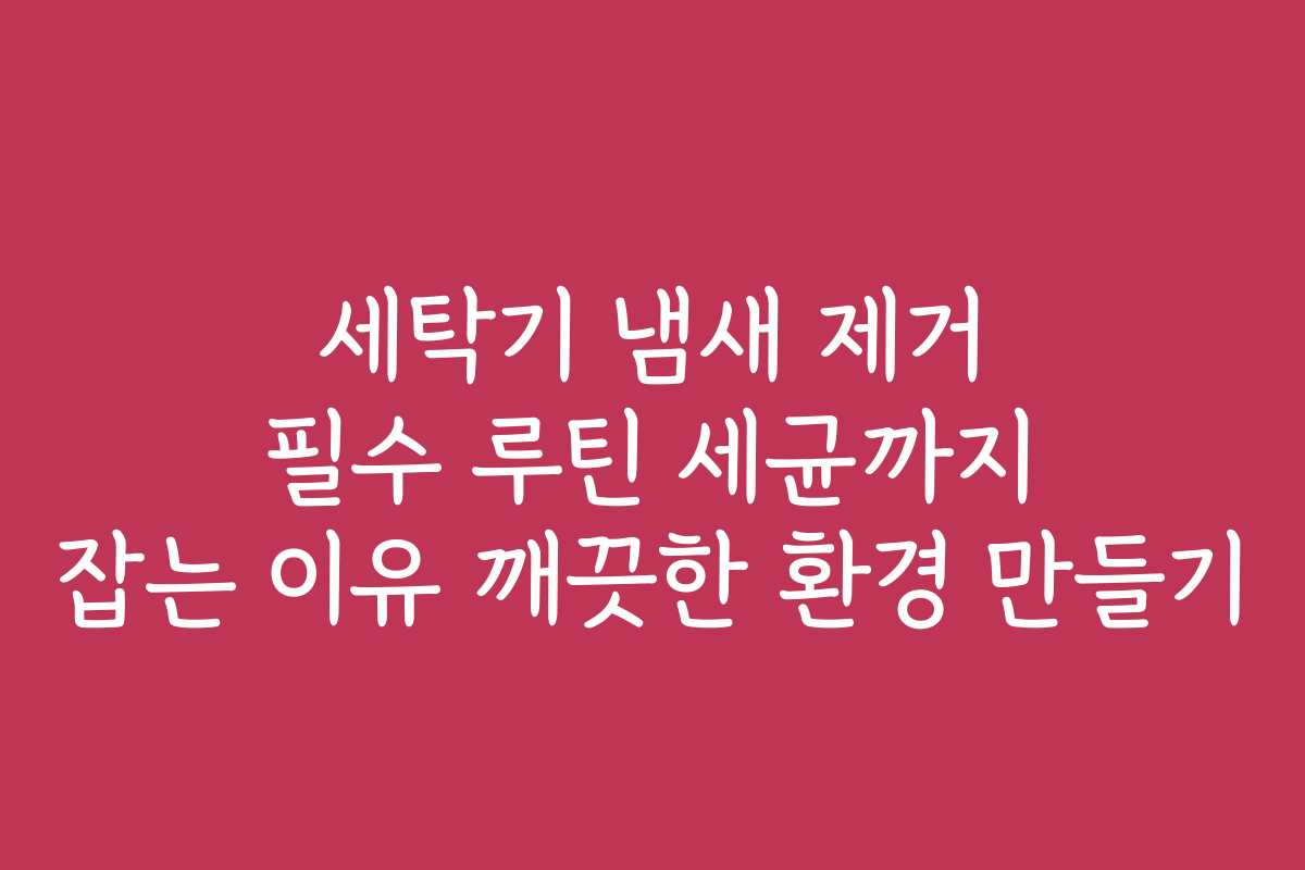 세탁기 냄새 제거 필수 루틴 세균까지 잡는 이유 깨끗한 환경 만들기 세탁기 냄새 제거 필수 루틴 세균까지 잡는 이유 깨끗한 환경 만들기