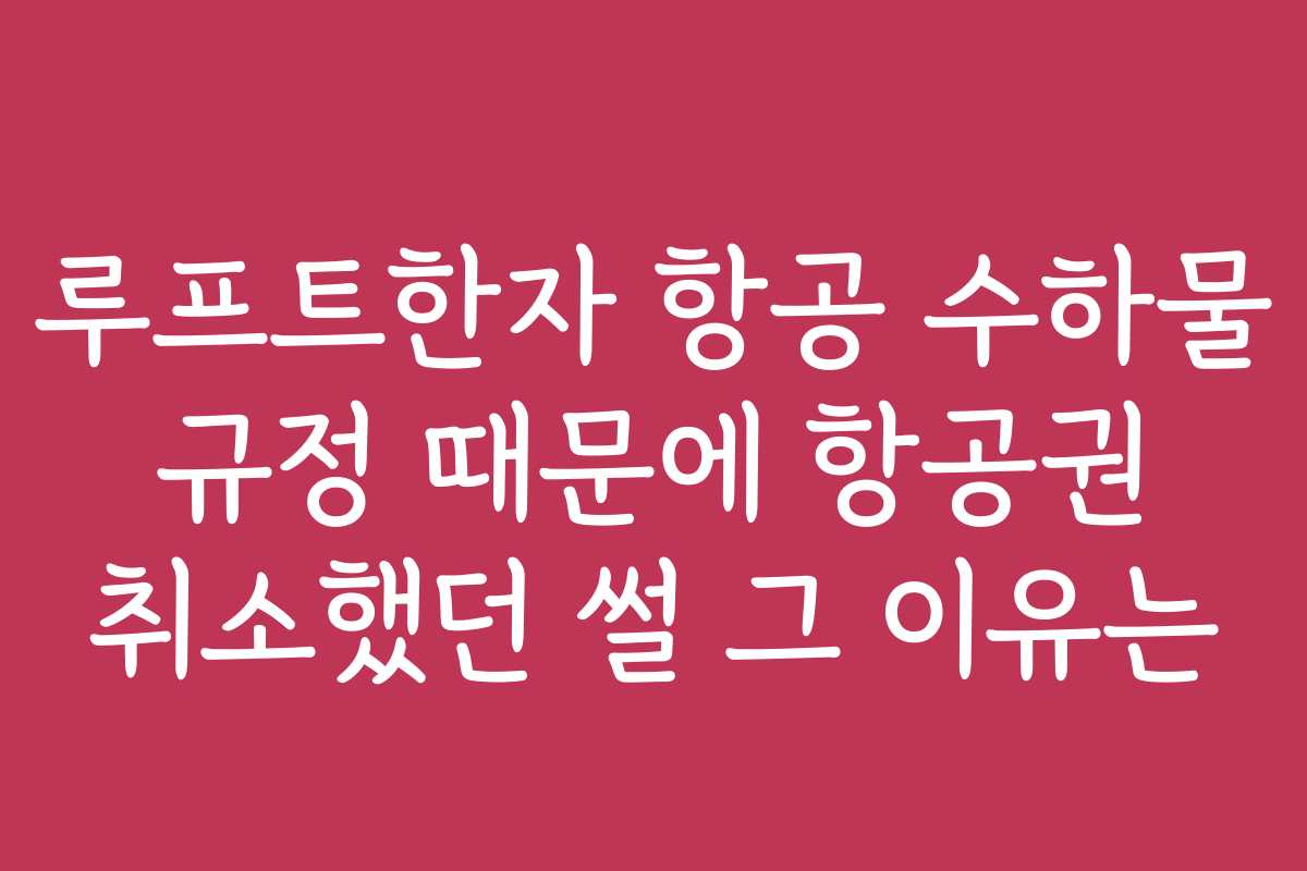 루프트한자 항공 수하물 규정 때문에 항공권 취소했던 썰 그 이유는