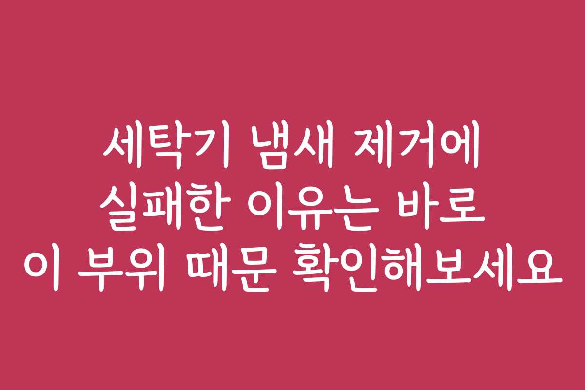 세탁기 냄새 제거에 실패한 이유는 바로 이 부위 때문 확인해보세요 세탁기 냄새 제거에 실패한 이유는 바로 이 부위 때문 확인해보세요