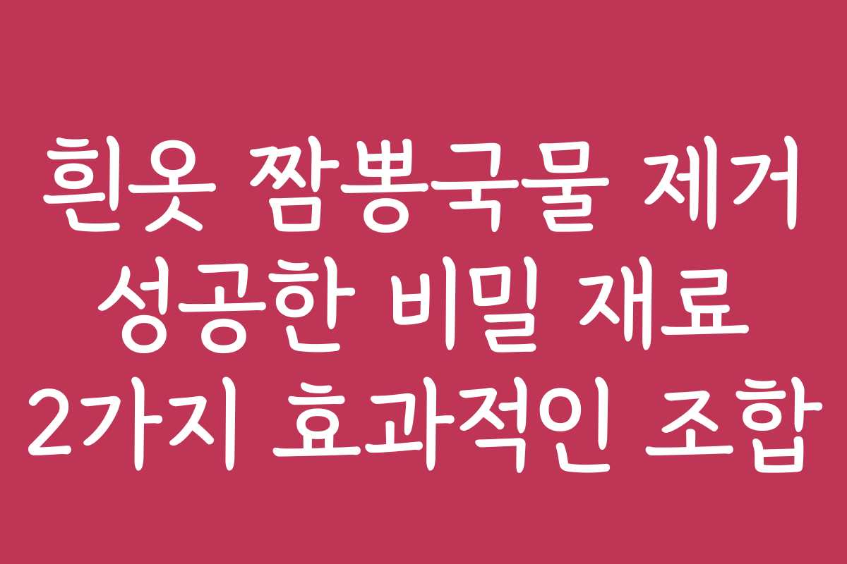 흰옷 짬뽕국물 제거 성공한 비밀 재료 2가지 효과적인 조합 흰옷 짬뽕국물 제거 성공한 비밀 재료 2가지 효과적인 조합