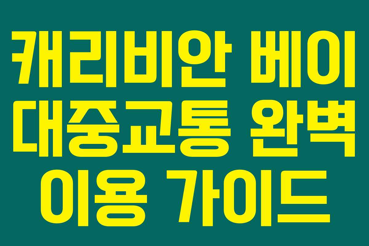 캐리비안 베이 대중교통 완벽 이용 가이드