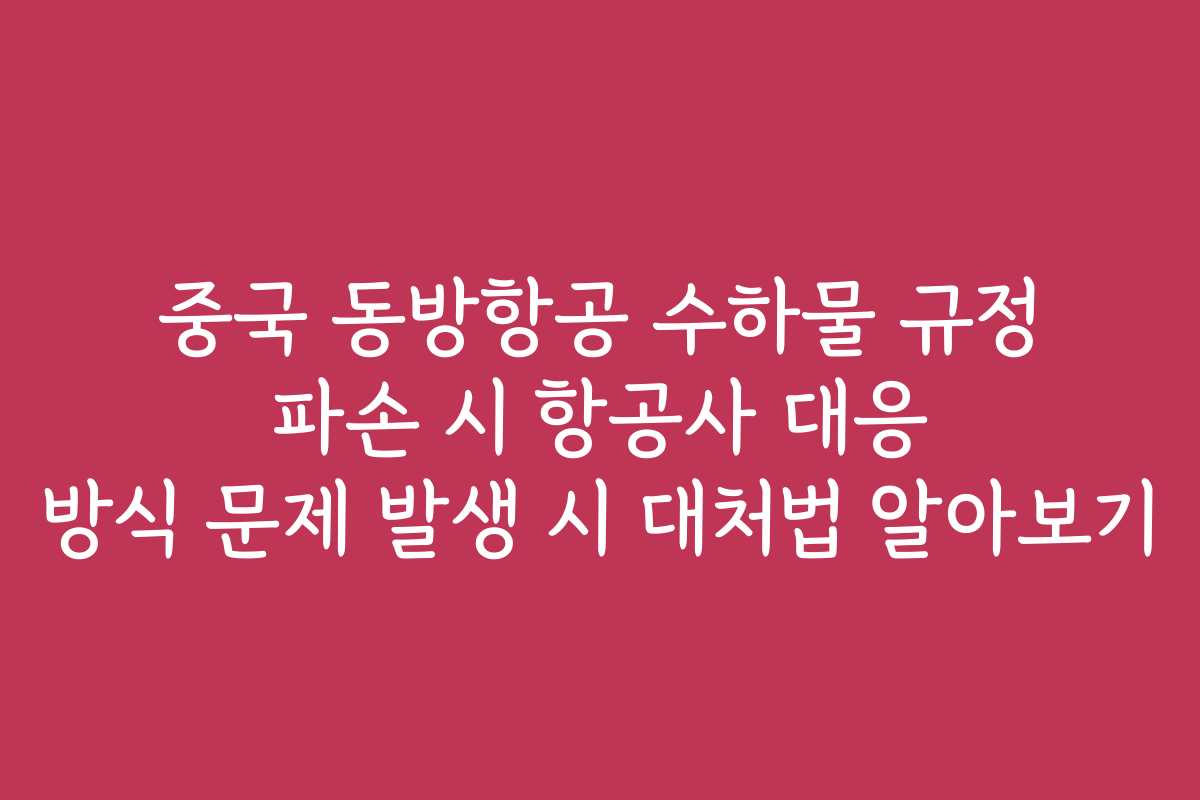 중국 동방항공 수하물 규정 파손 시 항공사 대응 방식 문제 발생 시 대처법 알아보기