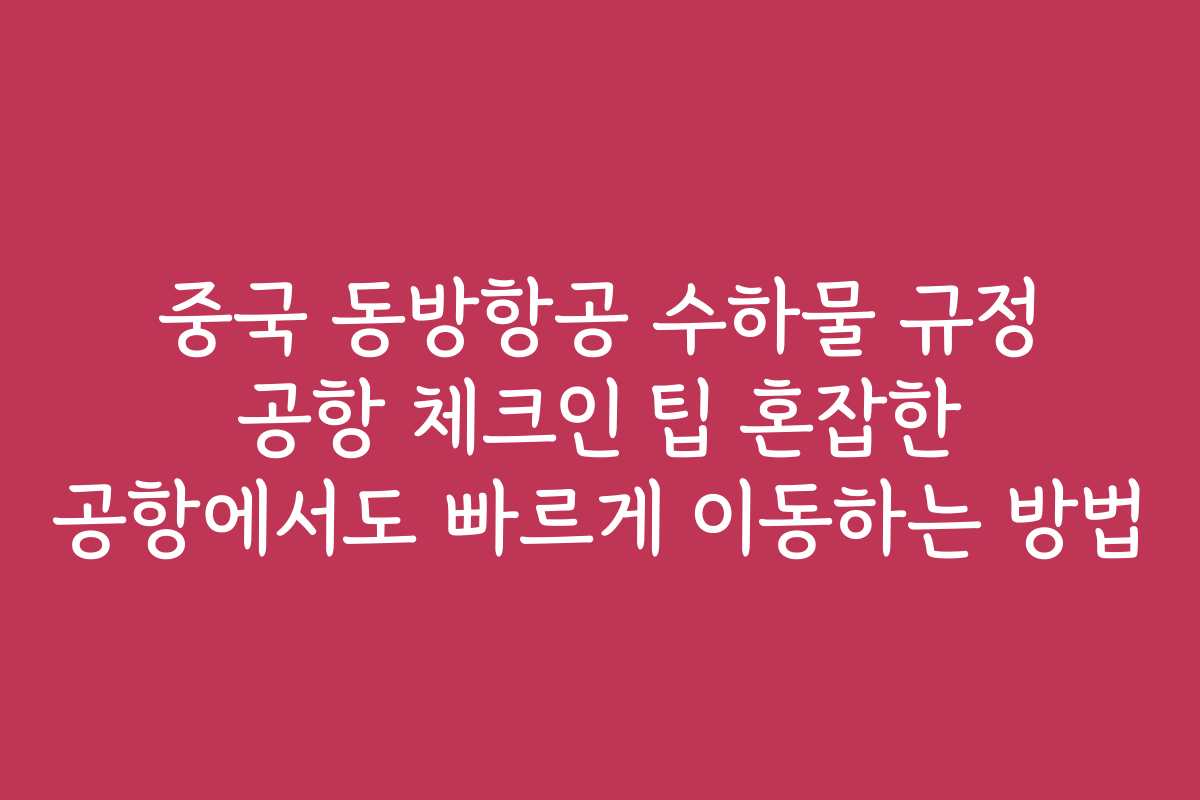 중국 동방항공 수하물 규정 공항 체크인 팁 혼잡한 공항에서도 빠르게 이동하는 방법