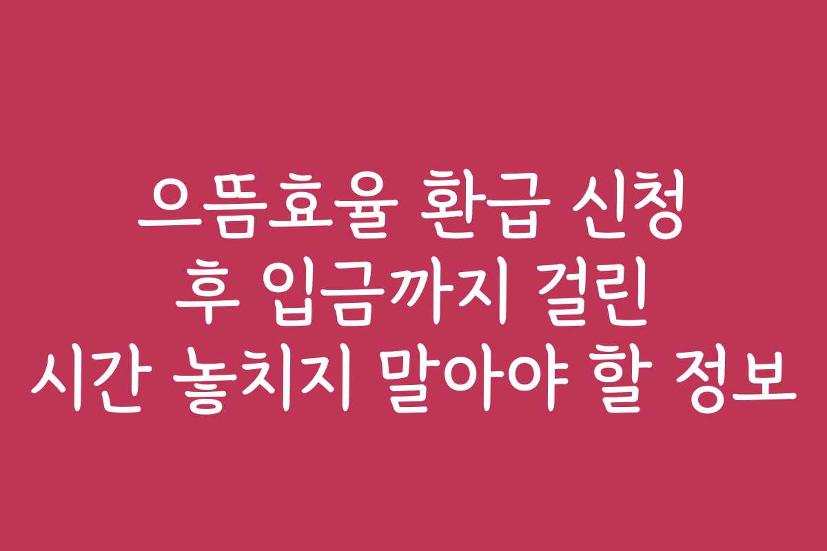 으뜸효율 환급 신청 후 입금까지 걸린 시간 놓치지 말아야 할 정보