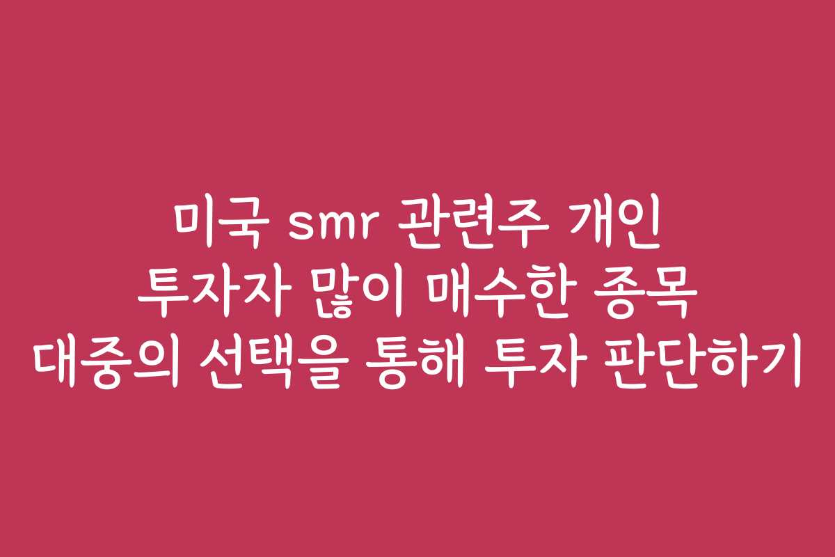 미국 smr 관련주 개인 투자자 많이 매수한 종목 대중의 선택을 통해 투자 판단하기