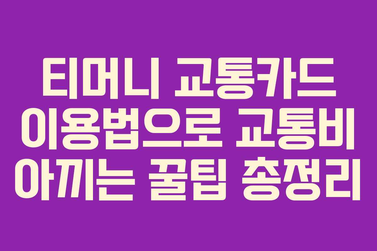 티머니 교통카드 이용법으로 교통비 아끼는 꿀팁 총정리