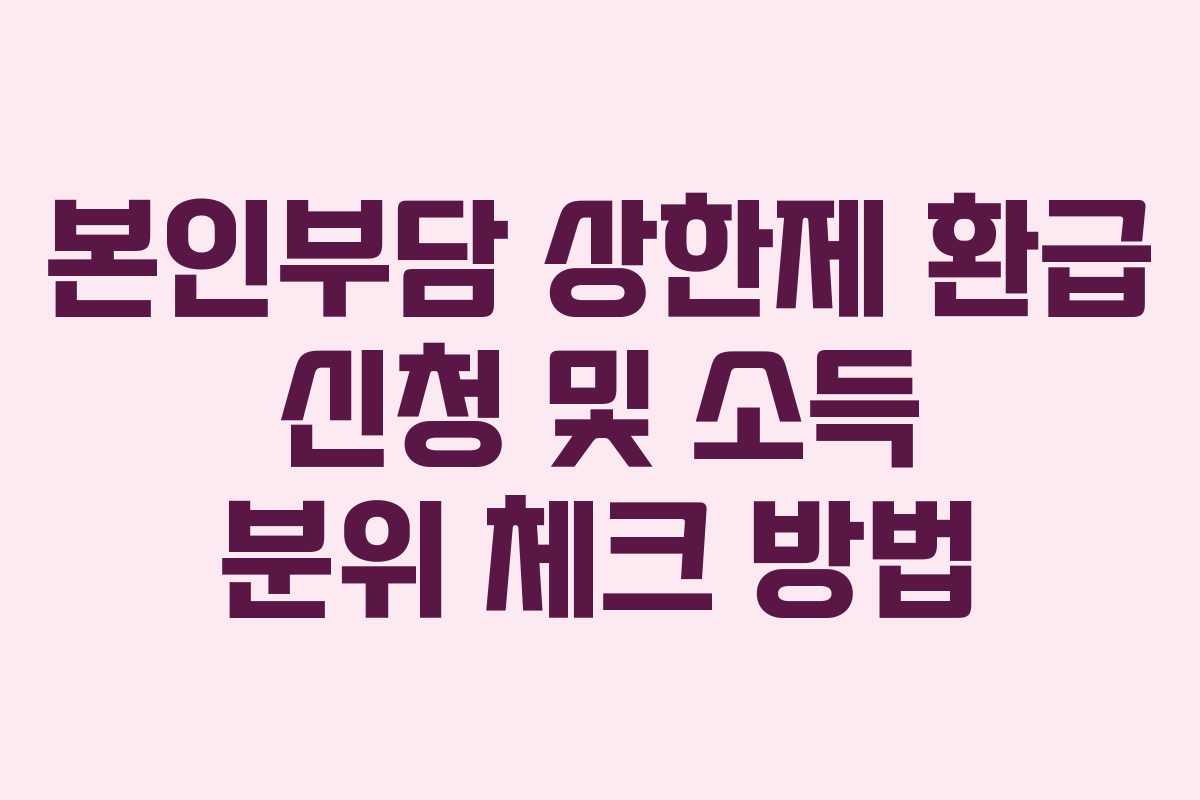 본인부담 상한제 환급 신청 및 소득 분위 체크 방법