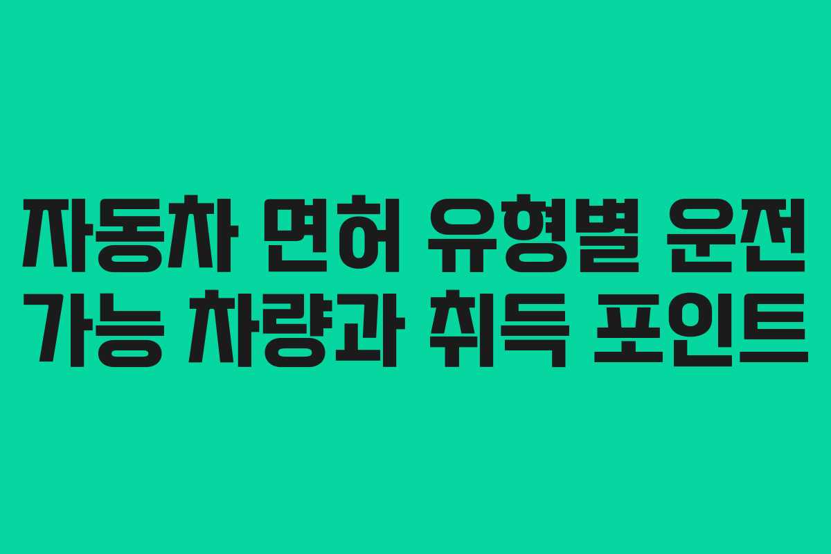 자동차 면허 유형별 운전 가능 차량과 취득 포인트