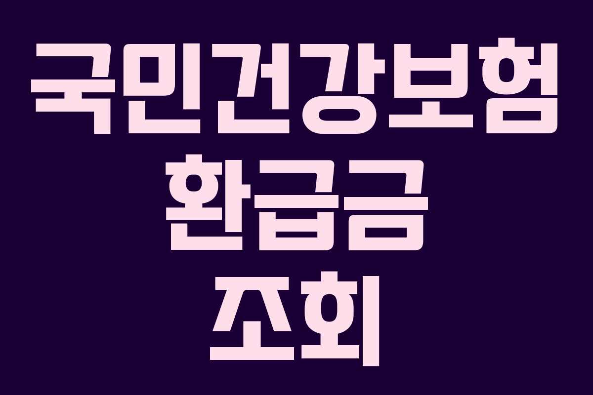국민건강보험 환급금 조회