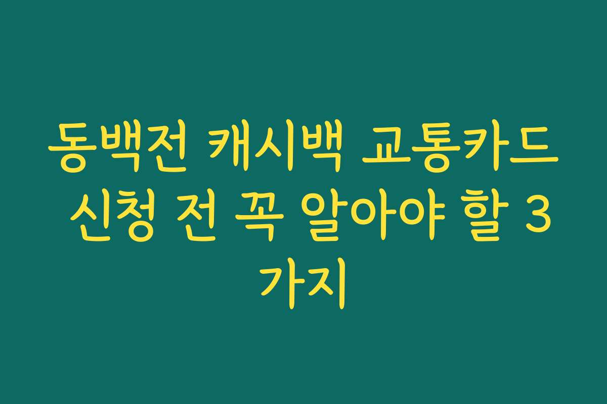 동백전 캐시백 교통카드 신청 전 꼭 알아야 할 3가지 동백전 캐시백 교통카드 신청 전 꼭 알아야 할 3가지
