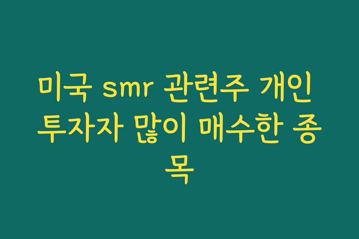 미국 smr 관련주 개인 투자자 많이 매수한 종목