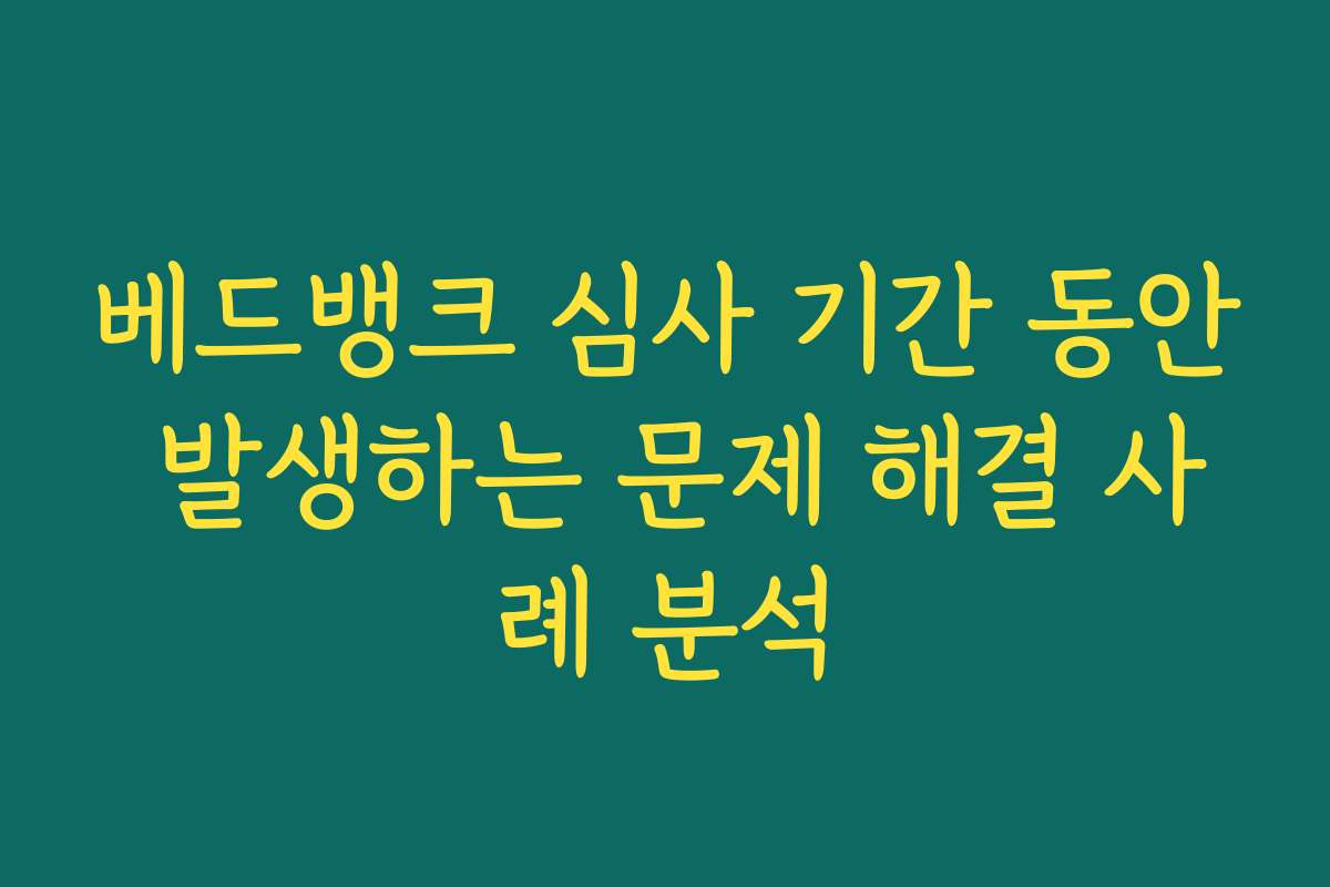 베드뱅크 심사 기간 동안 발생하는 문제 해결 사례 분석