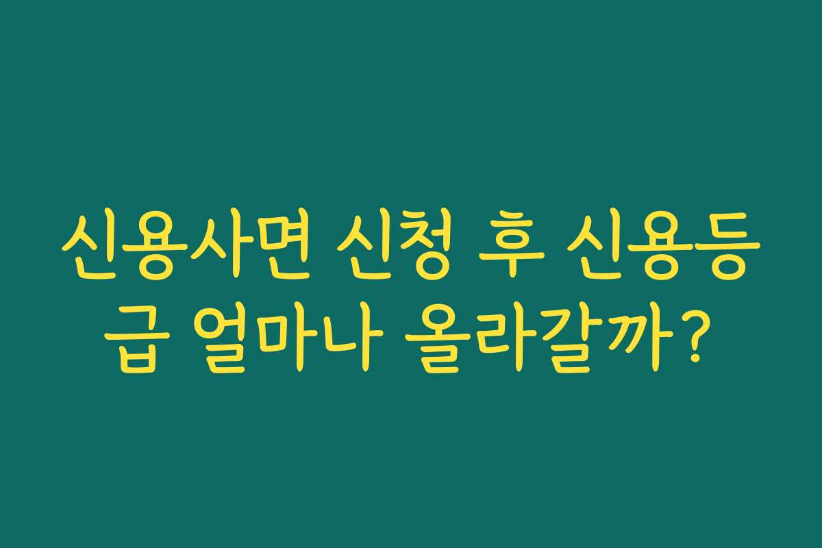 신용사면 신청 후 신용등급 얼마나 올라갈까?