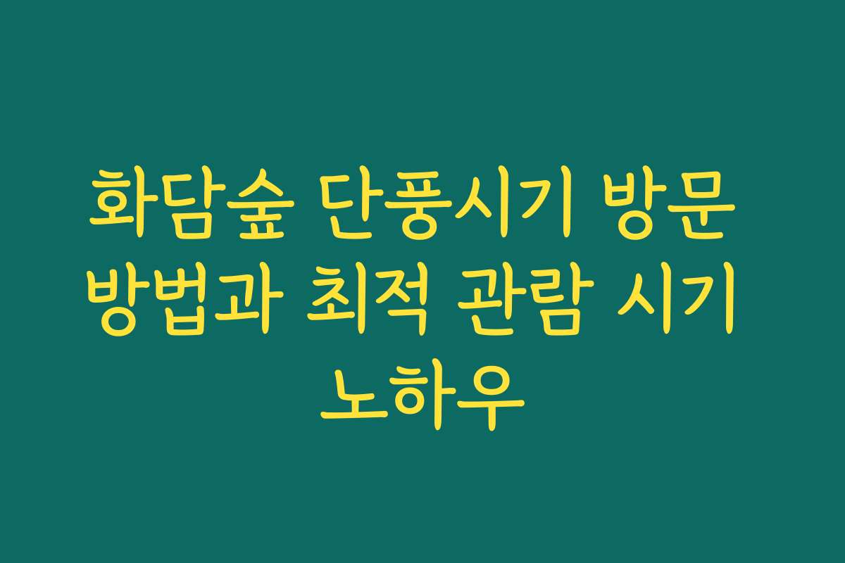 화담숲 단풍시기 방문 방법과 최적 관람 시기 노하우