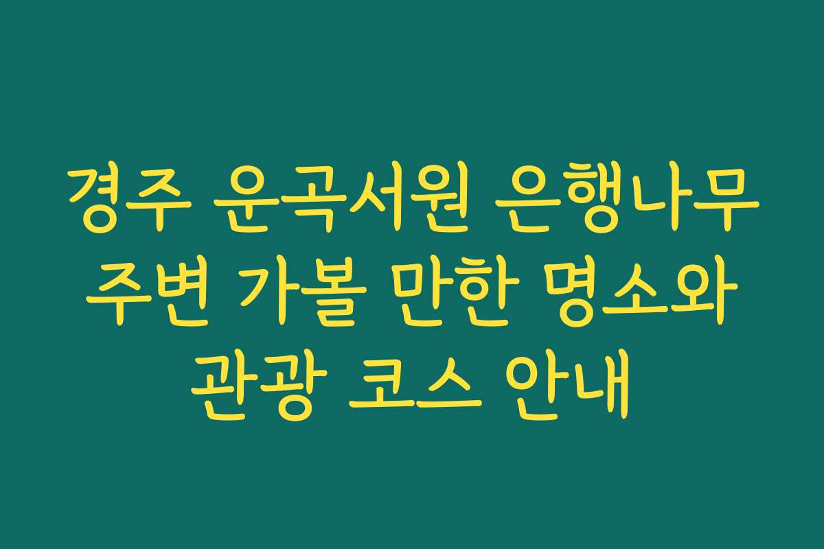 경주 운곡서원 은행나무 주변 가볼 만한 명소와 관광 코스 안내