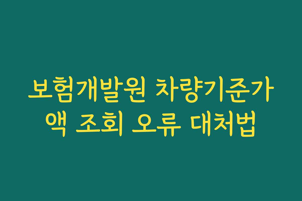 보험개발원 차량기준가액 조회 오류 대처법