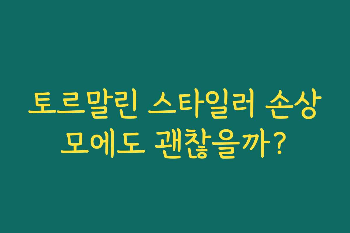 토르말린 스타일러 손상모에도 괜찮을까? 토르말린 스타일러 손상모에도 괜찮을까?