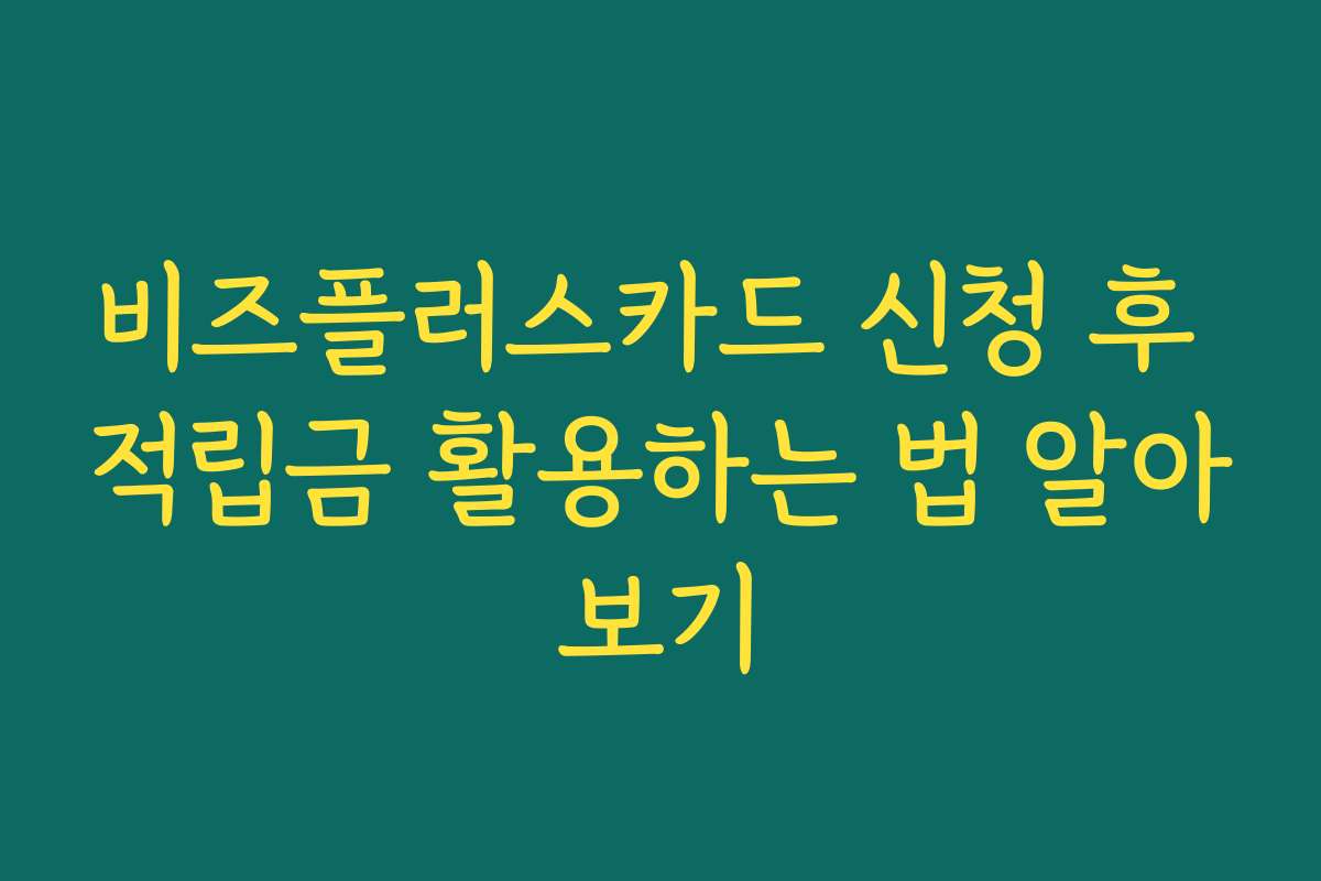 비즈플러스카드 신청 후 적립금 활용하는 법 알아보기
