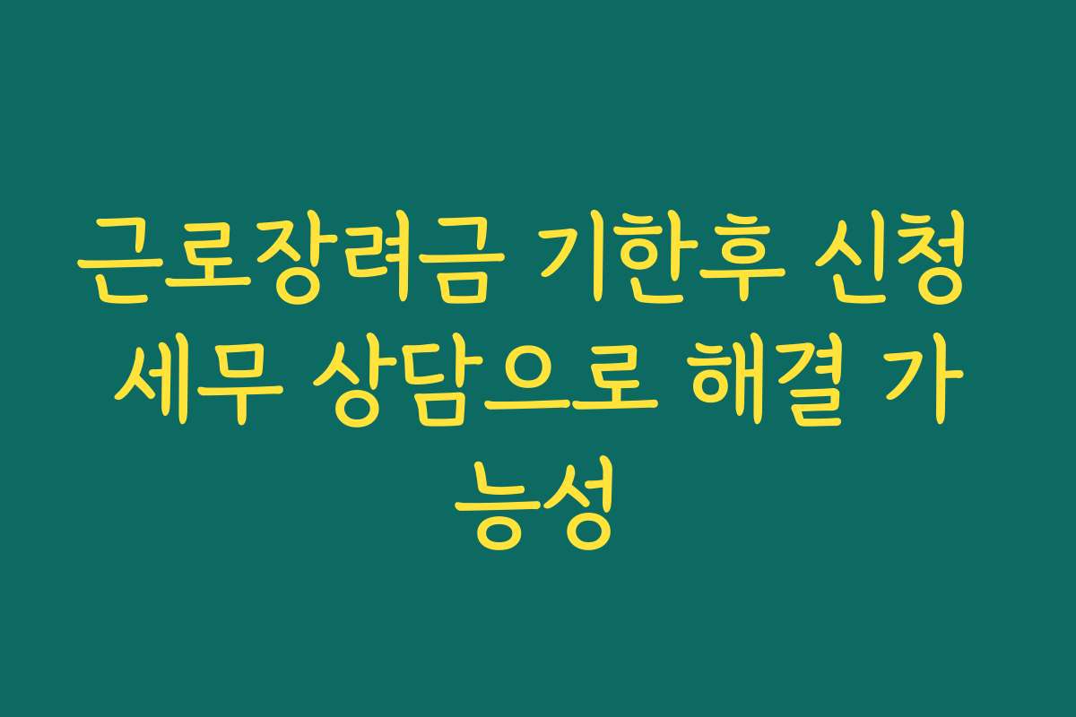 근로장려금 기한후 신청 세무 상담으로 해결 가능성 근로장려금 기한후 신청 세무 상담으로 해결 가능성