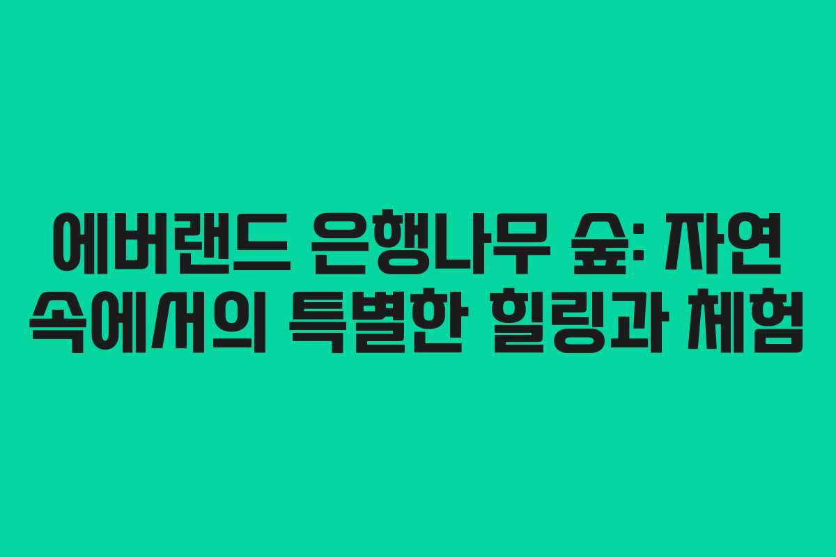 에버랜드 은행나무 숲: 자연 속에서의 특별한 힐링과 체험 에버랜드 은행나무 숲: 자연 속에서의 특별한 힐링과 체험